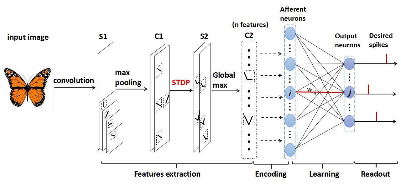 Sparse temporal encoding of visual features for robust object recognition by spiking neurons