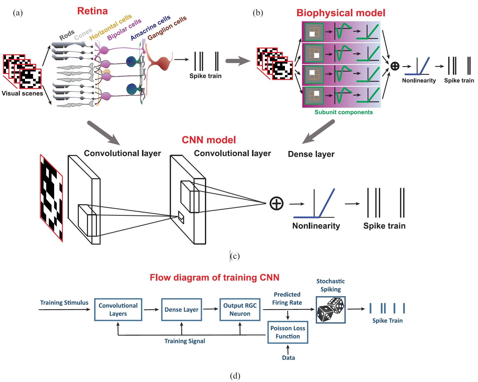 Revealing fine structures of the retinal receptive field by deep-learning networks