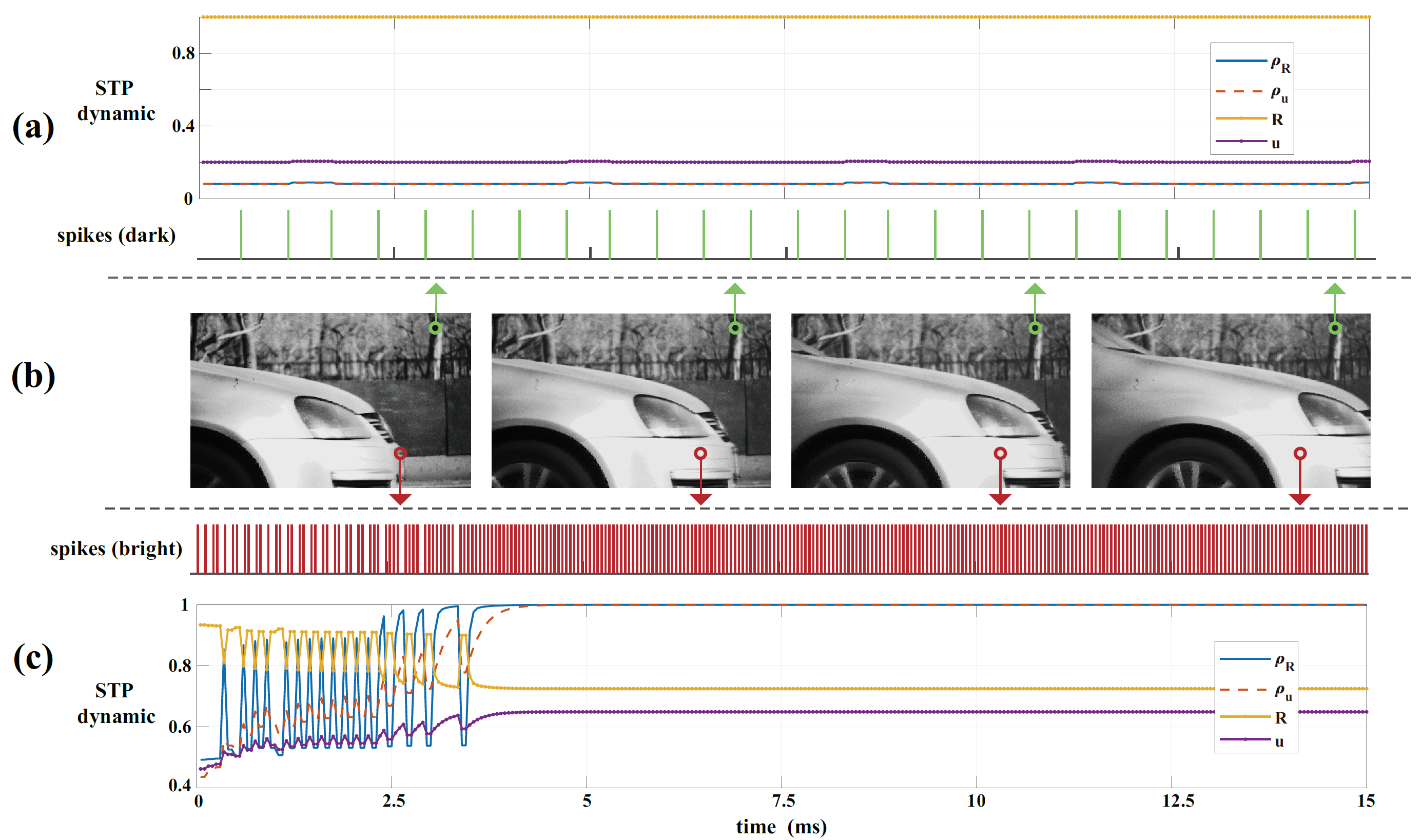 High-speed image reconstruction through short-term plasticity for spiking cameras